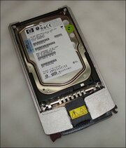 HP BF03689BC3 фото