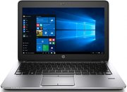 HP EliteBook 725 G3 (P4T48EA) (A10 Pro 8700B 1800 MHz/12.5