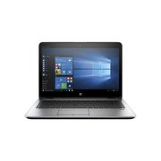 HP EliteBook 745 G3 (P4T38EA) (A10 Pro 8700B 1800 MHz/14.0