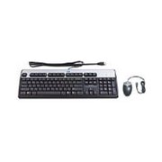 HP USB BFR with PVC Free RU Keyboard/Mouse Kit 638214-B21 фото