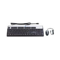 Hp USB BFR with PVC Free RU Keyboard/Mouse Kit 638214-B21