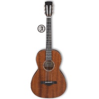 Ibanez Artwood AVN9-OPN