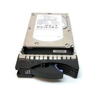 Ibm 39R7312 300 GB