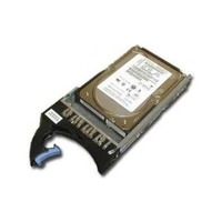 Ibm 42D0370 300 GB