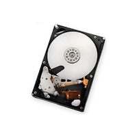 Ibm 59Y5536 2 TB