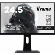 Iiyama G-Master GB2530HSU-B1 фото