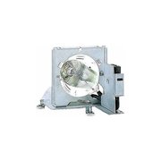 InFocus SP-LAMP-LP10B фото