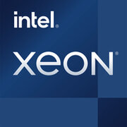 Intel Xeon E-2386G фото