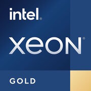 Intel Xeon Gold 4th Gen фото