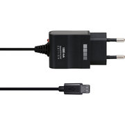 InterStep Сетевое зарядное устройство microUSB (IS-TC-NO08600PS-01OB201) фото