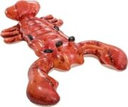 Intex Lobster 57533 фото