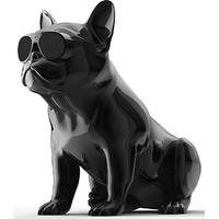 Jarre AeroBull HD1