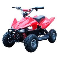 Joy automatic Rider (49cc)