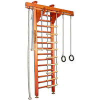 Kampfer Wooden Ladder Ceiling