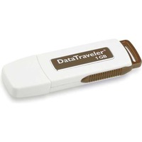 Kingston DataTraveler 1GB