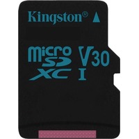 Kingston microSDXC Canvas Go!