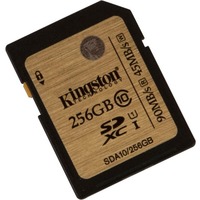 Kingston SDA10/256GB 256GB