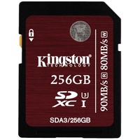 Kingston SDA3/256GB