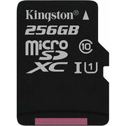 Kingston SDCS/256GBSP 256GB фото