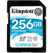 Kingston SDG/256GB 256GB фото