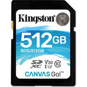 Kingston SDG/512GB 512GB фото