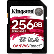 Kingston SDR/256GB 256GB фото