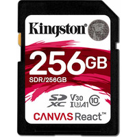 Kingston SDR/256GB 256GB