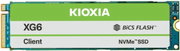 KIOXIA XG6 KXG60ZNV256G фото