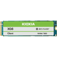 KIOXIA XG6 KXG60ZNV256G