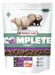 Versele-Laga Корм для хорьков Complete Ferret фото