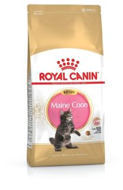 Royal Canin Корм для кошек Maine Coon Kitten фото