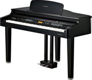 Kurzweil MPG100 фото