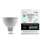 Gauss 13529 фото