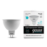 Gauss 13529