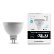 Gauss 13539 фото