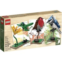 LEGO Cuusoo 21301 Птицы