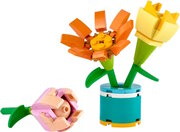 Lego Frendship Flowers 30634 фото