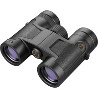 Leupold BX-2 Acadia 10х32