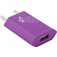 Liberty project СЗУ с USB выходом 1А (SM000121)