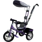 Mars Mini Trike LT-950A фото