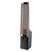 Martin Logan Aeon i фото