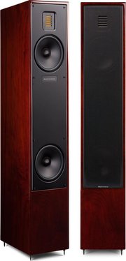 Martin Logan Motion 20 фото