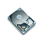 Maxtor Diamondmax Plus 9 120 GB фото