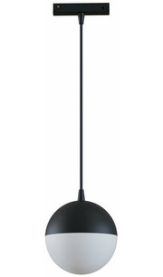 Maytoni Track lamps TR018-2-10W4K-B фото