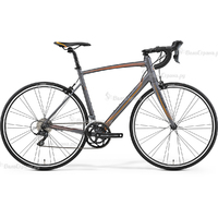 Merida Ride Disc 100 (2017)