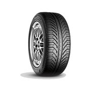 Michelin Pilot Sport A/S Plus фото