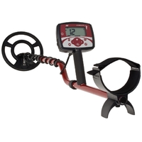 Minelab X-Terra 305