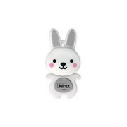 MIREX Rabbit 4GB фото