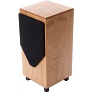 Mj acoustics Reference 210 MkI фото