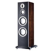 Monitor Audio Platinum PL300 фото